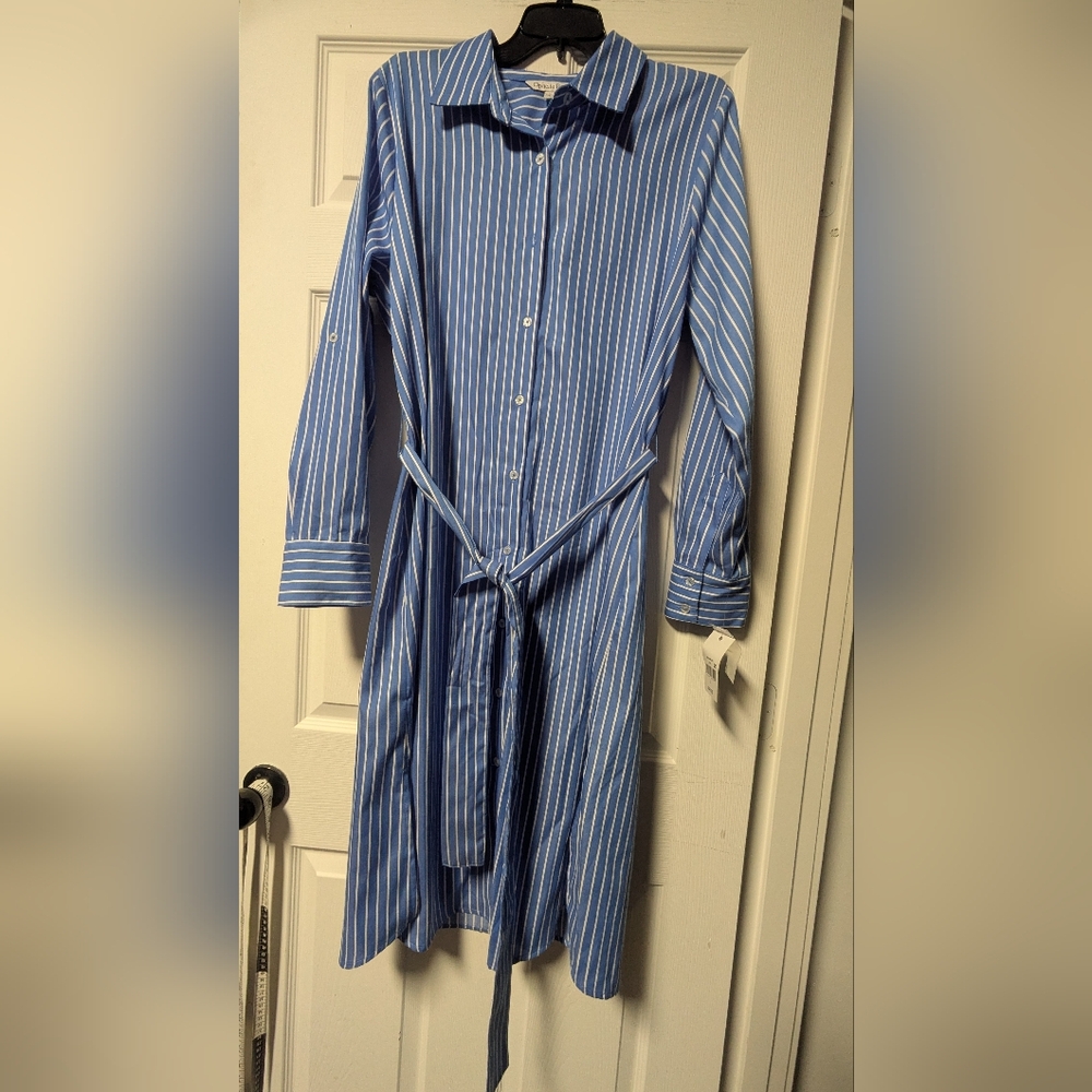 Blue Striped Button-Up Dress